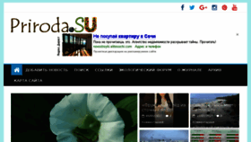 What Priroda.su website looked like in 2017 (6 years ago)