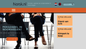 What Placement.nl website looked like in 2017 (6 years ago)