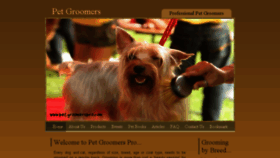 What Petgroomerspro.com website looked like in 2017 (6 years ago)