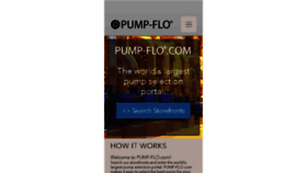 What Pumpflo.com website looked like in 2017 (6 years ago)