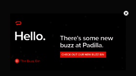 What Padillaco.com website looked like in 2017 (6 years ago)