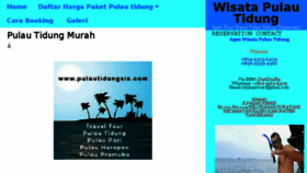 What Pulautidungsis.com website looked like in 2017 (7 years ago)