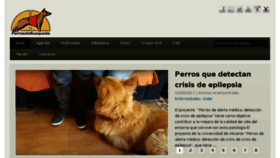 What Perrosdebusqueda.es website looked like in 2017 (6 years ago)