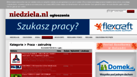 What Praca.nl website looked like in 2017 (6 years ago)
