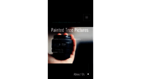 What Paintedtreepictures.com website looked like in 2017 (6 years ago)
