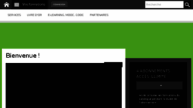 What Passeportpourentreprendre.com website looked like in 2017 (6 years ago)