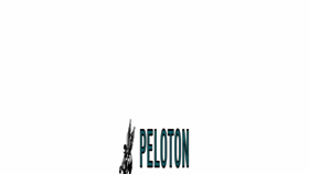What Pelotonimports.com website looked like in 2017 (6 years ago)