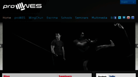 What Prowes.net website looked like in 2017 (6 years ago)