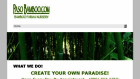 What Pasobamboo.com website looked like in 2017 (6 years ago)