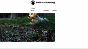 What Puppyintraining.com website looked like in 2018 (6 years ago)
