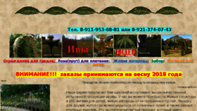 What Paviva.ru website looked like in 2018 (6 years ago)