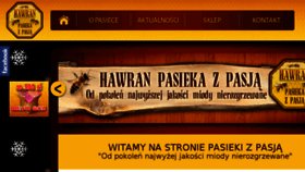What Pasiekazpasja.pl website looked like in 2018 (6 years ago)