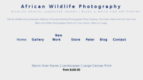 What Peterdelaneyphotography.com website looked like in 2018 (6 years ago)