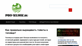 What Pro-selhoz.ru website looked like in 2018 (6 years ago)