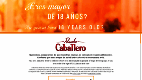 What Ponchecaballero.com website looked like in 2018 (6 years ago)