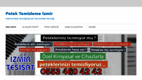 What Petektemizleme.co website looked like in 2018 (6 years ago)