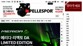 What Pellesports.com website looked like in 2018 (6 years ago)