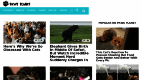 What Pawsplanet.me website looked like in 2018 (6 years ago)