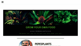 What Pepesplants.com website looked like in 2018 (6 years ago)
