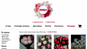 What Pionshop.ru website looked like in 2018 (6 years ago)
