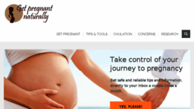 What Pregnant-naturally.com website looked like in 2018 (6 years ago)