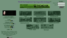 What Pizolit.hu website looked like in 2018 (5 years ago)