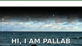 What Pallab.com website looked like in 2018 (5 years ago)