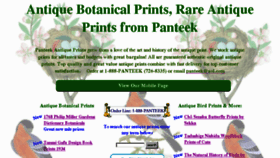 What Panteek.com website looked like in 2018 (5 years ago)