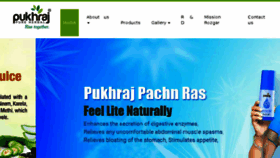 What Pukhrajhealthcare.com website looked like in 2018 (5 years ago)