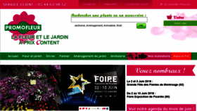 What Promofleur.fr website looked like in 2018 (5 years ago)