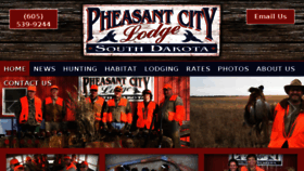 What Pheasantcity.com website looked like in 2018 (5 years ago)