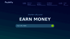 What Paybitly.com website looked like in 2018 (5 years ago)