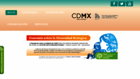 What Paot.mx website looked like in 2018 (5 years ago)