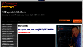 What Pcexpertsusa.com website looked like in 2018 (5 years ago)