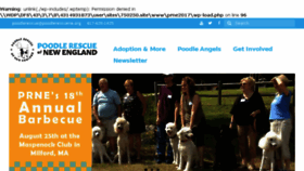 What Poodlerescuene.org website looked like in 2018 (5 years ago)