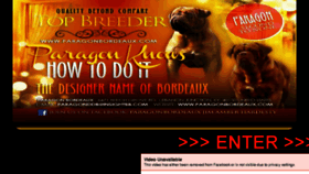 What Paragonbordeaux.com website looked like in 2018 (5 years ago)