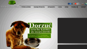 What Pustamiska.pl website looked like in 2018 (5 years ago)