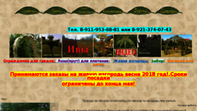 What Paviva.ru website looked like in 2018 (5 years ago)