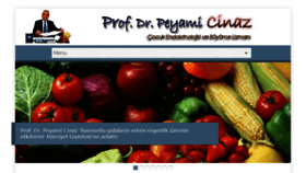 What Peyamicinaz.net website looked like in 2018 (7 years ago)