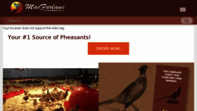 What Pheasant.com website looked like in 2018 (5 years ago)