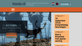 What Placement.nl website looked like in 2018 (5 years ago)