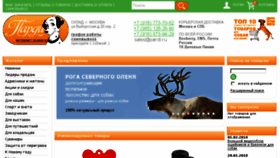 What Pardi.ru website looked like in 2018 (5 years ago)