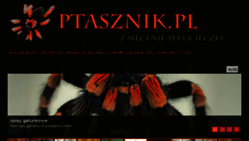 What Ptasznik.pl website looked like in 2018 (5 years ago)