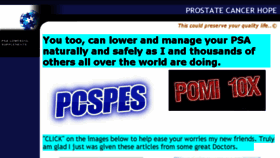 What Pcspes.net website looked like in 2018 (5 years ago)