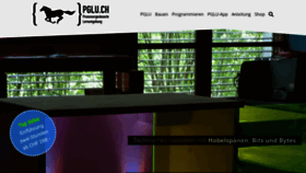 What Pglu.ch website looked like in 2018 (6 years ago)