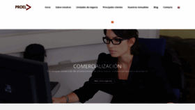 What Proelconsultoria.com website looked like in 2018 (5 years ago)