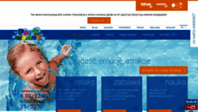 What Parkwodny.pl website looked like in 2018 (5 years ago)