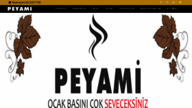 What Peyamiocakbasi.com website looked like in 2018 (5 years ago)