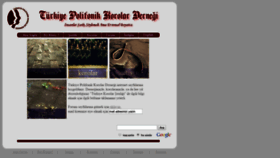 What Polifonik.org website looked like in 2018 (5 years ago)