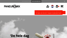What Paneuromix.nl website looked like in 2018 (5 years ago)